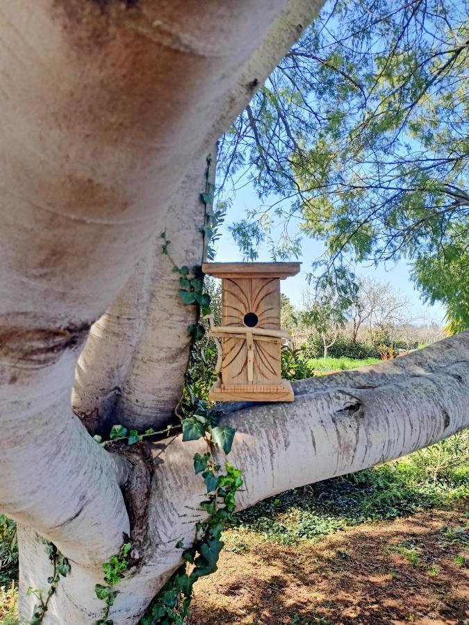 Agriturismo Il Cipresso วาดา ภายนอก รูปภาพ