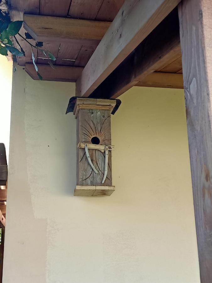 Agriturismo Il Cipresso วาดา ภายนอก รูปภาพ