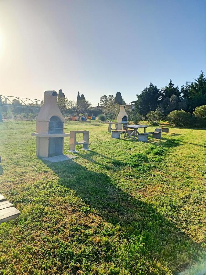 Agriturismo Il Cipresso วาดา ภายนอก รูปภาพ