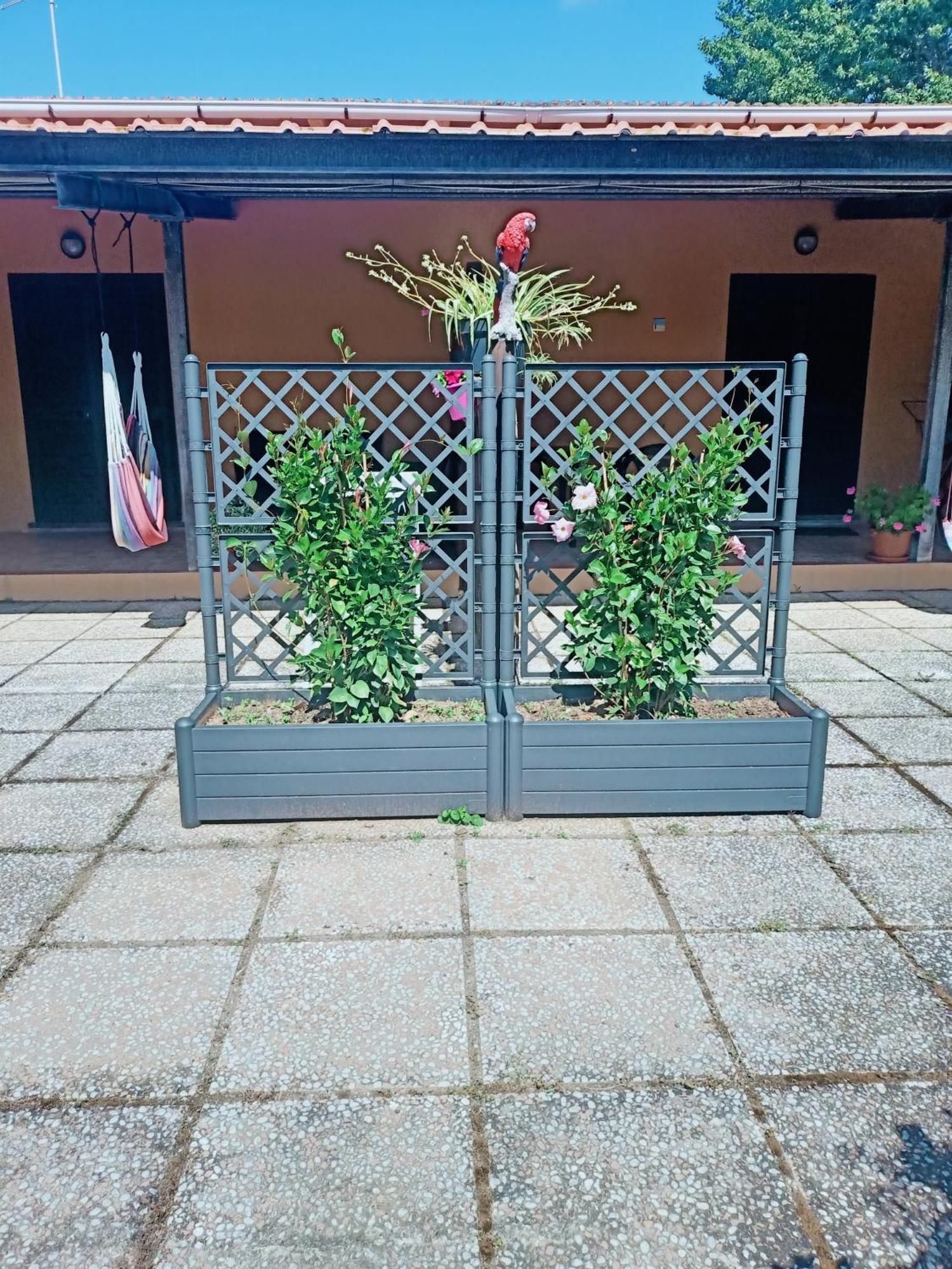 Agriturismo Il Cipresso วาดา ภายนอก รูปภาพ