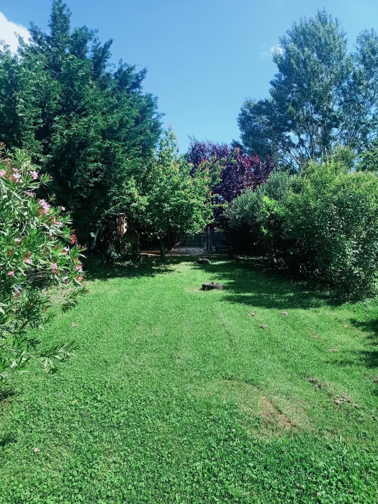 Agriturismo Il Cipresso วาดา ภายนอก รูปภาพ