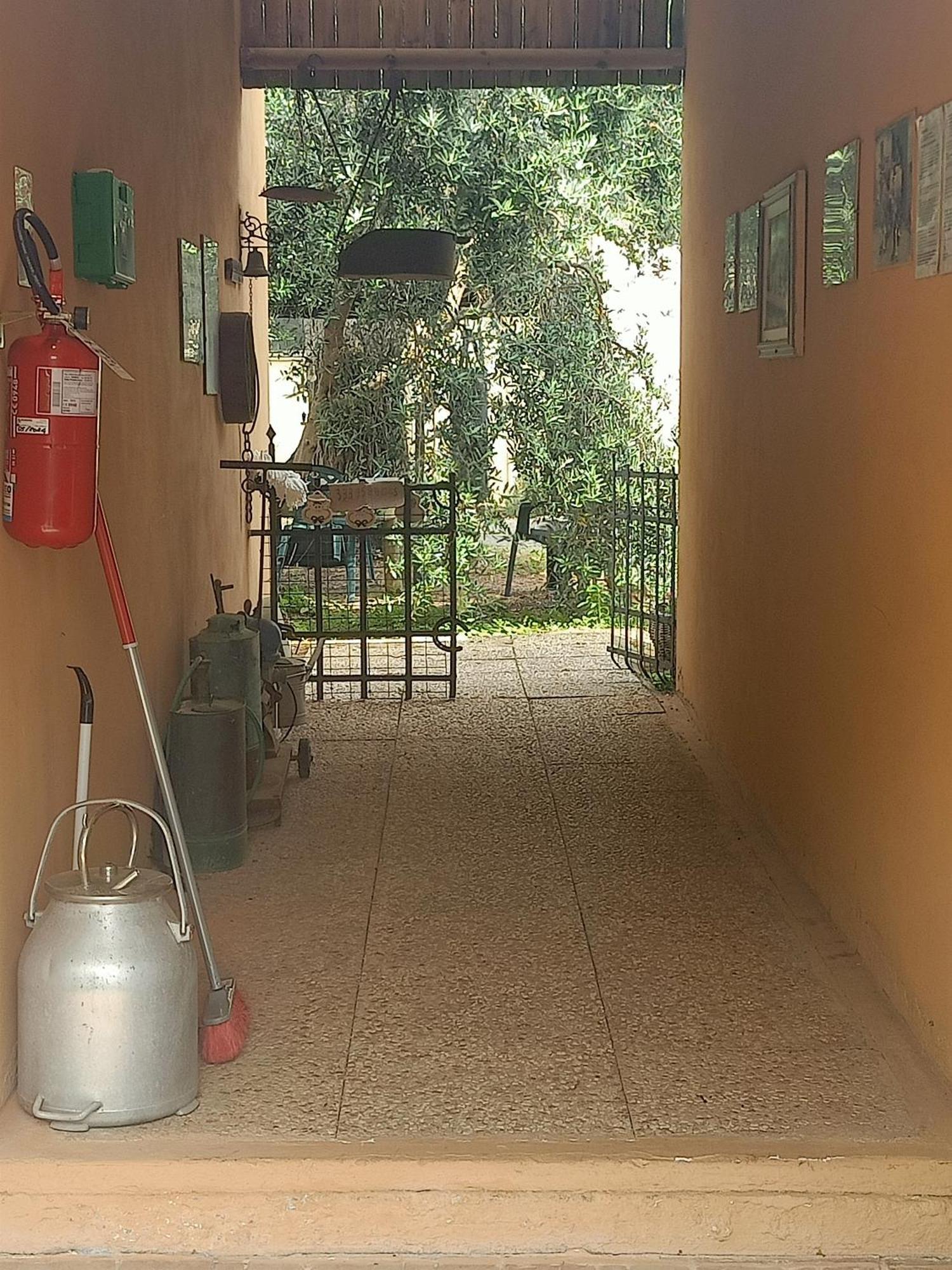 Agriturismo Il Cipresso วาดา ภายนอก รูปภาพ