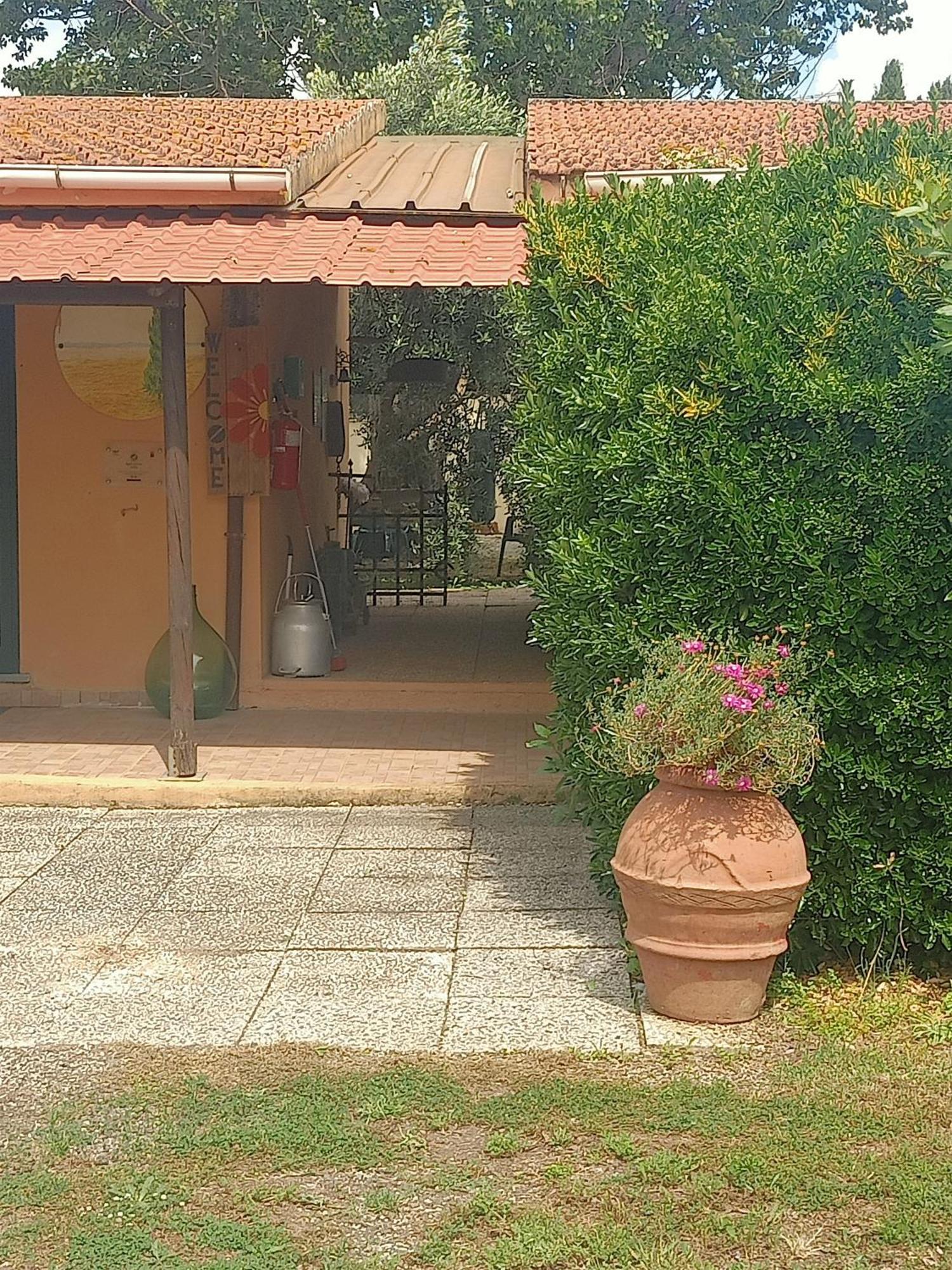 Agriturismo Il Cipresso วาดา ภายนอก รูปภาพ
